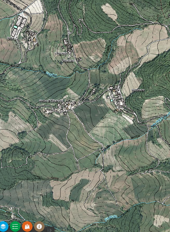 Catasto Ducale — close view with plot boundaries